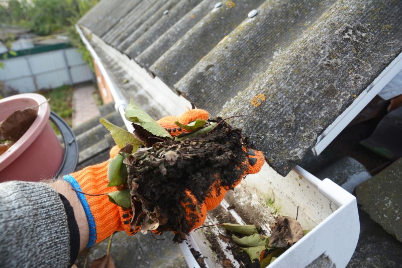 Gutter Cleaning in Fredericksburg, VA