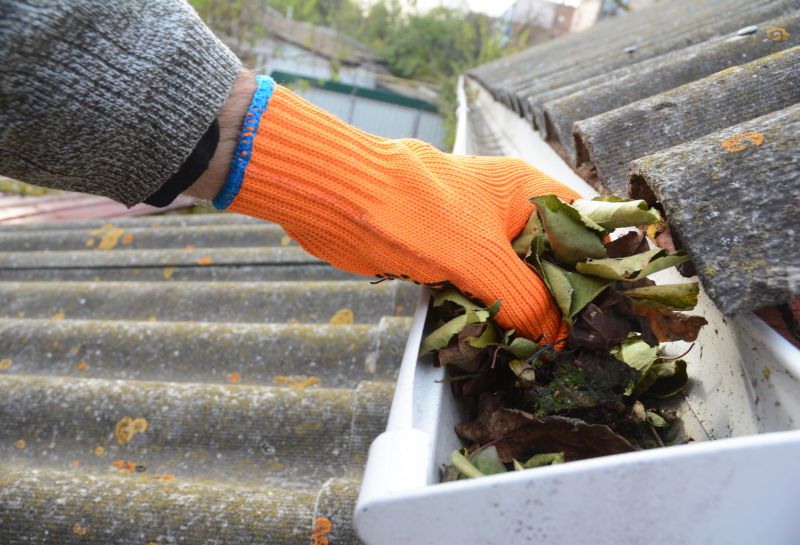 Gutter Leaf Clearing in Annapolis, MD