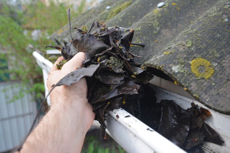 Gutter Leaves Removal in Boulder, CO